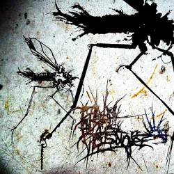 From Us To Sunset : Shadows Beyond